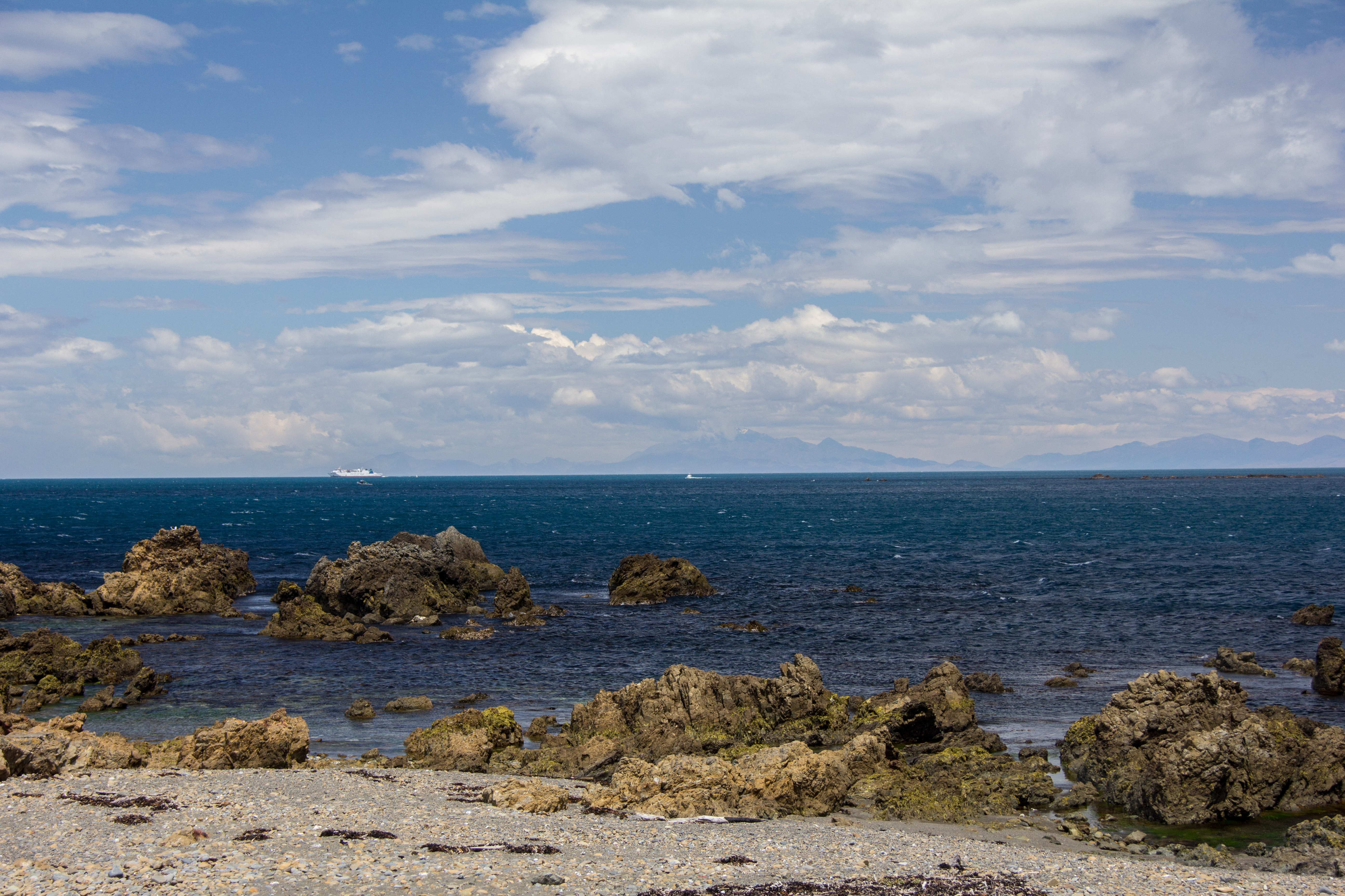 Kaikouras from Moa Point