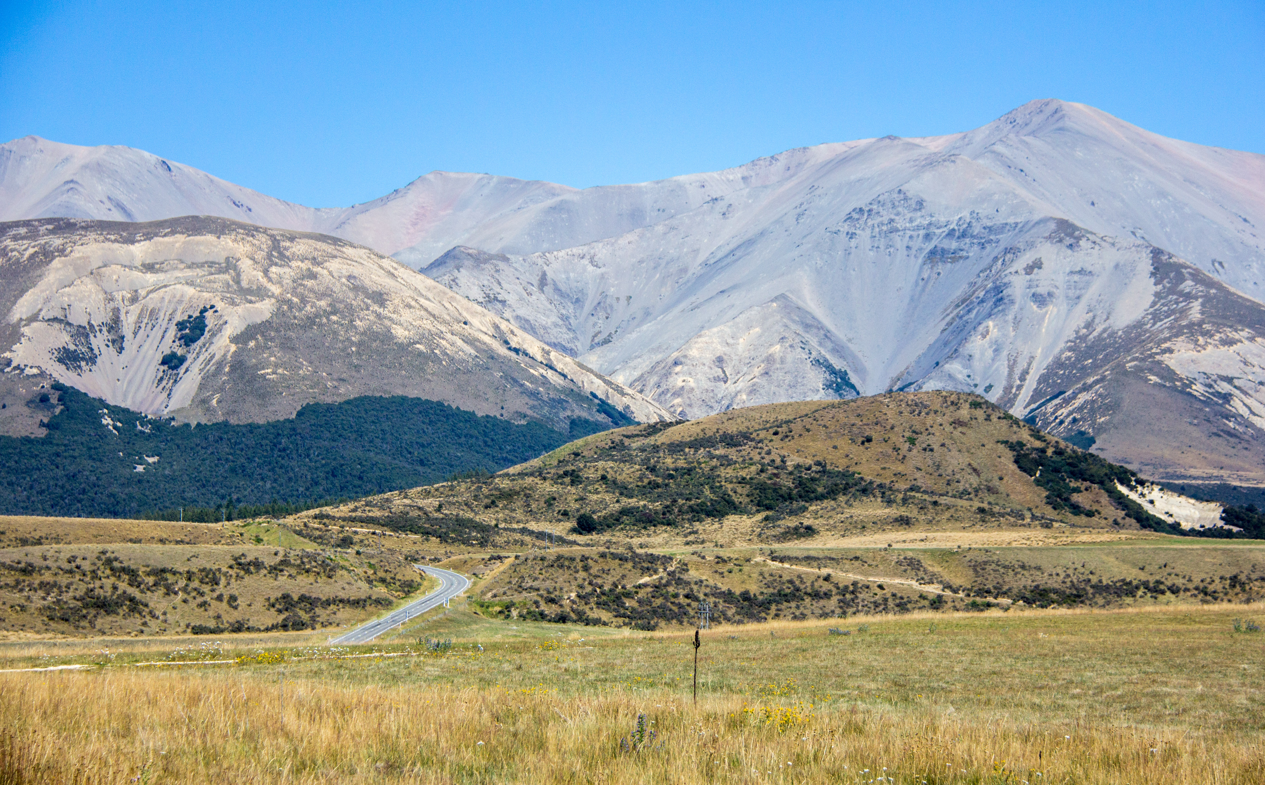 Arthurs Pass barren