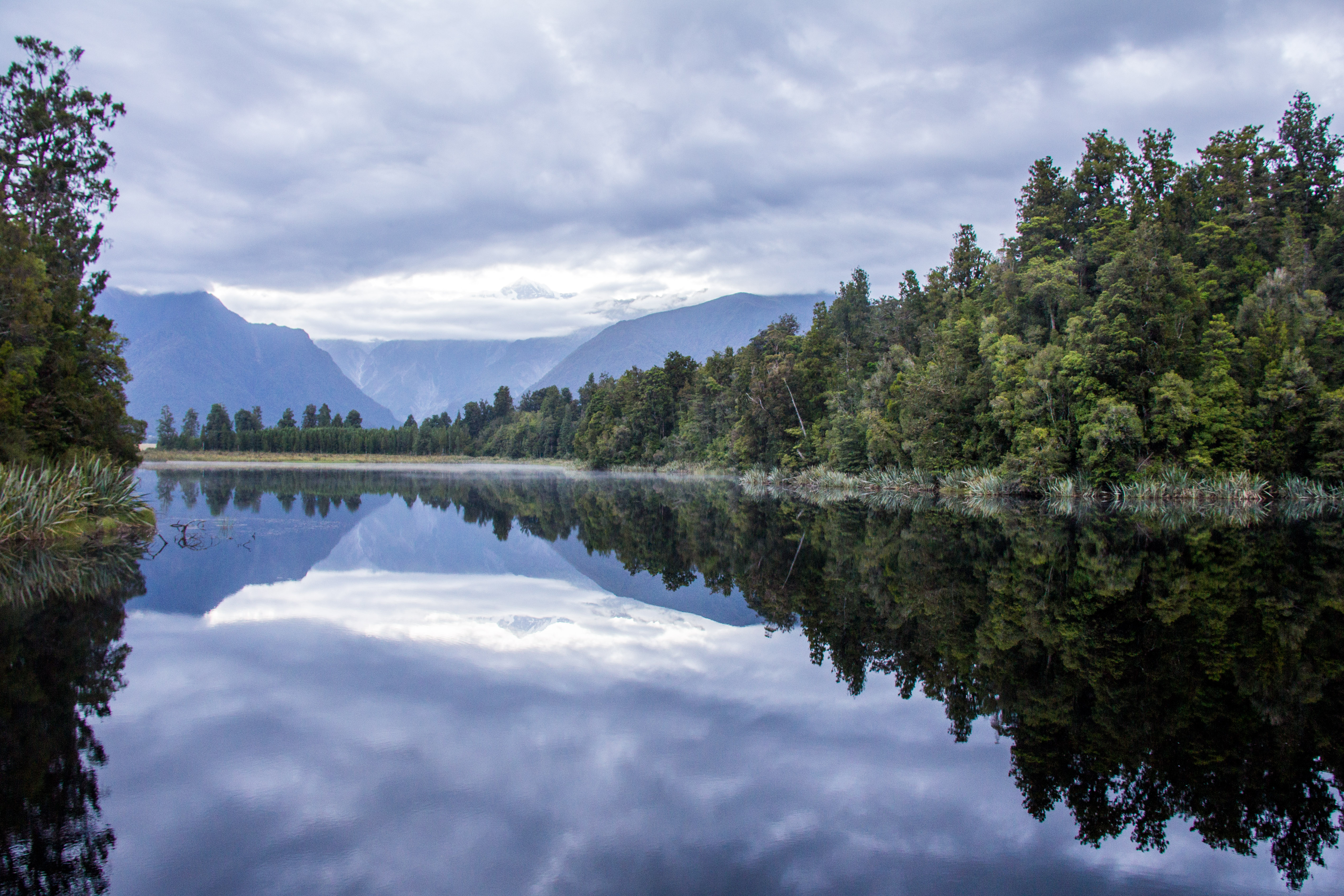 Lake Matheson Reflection Island
