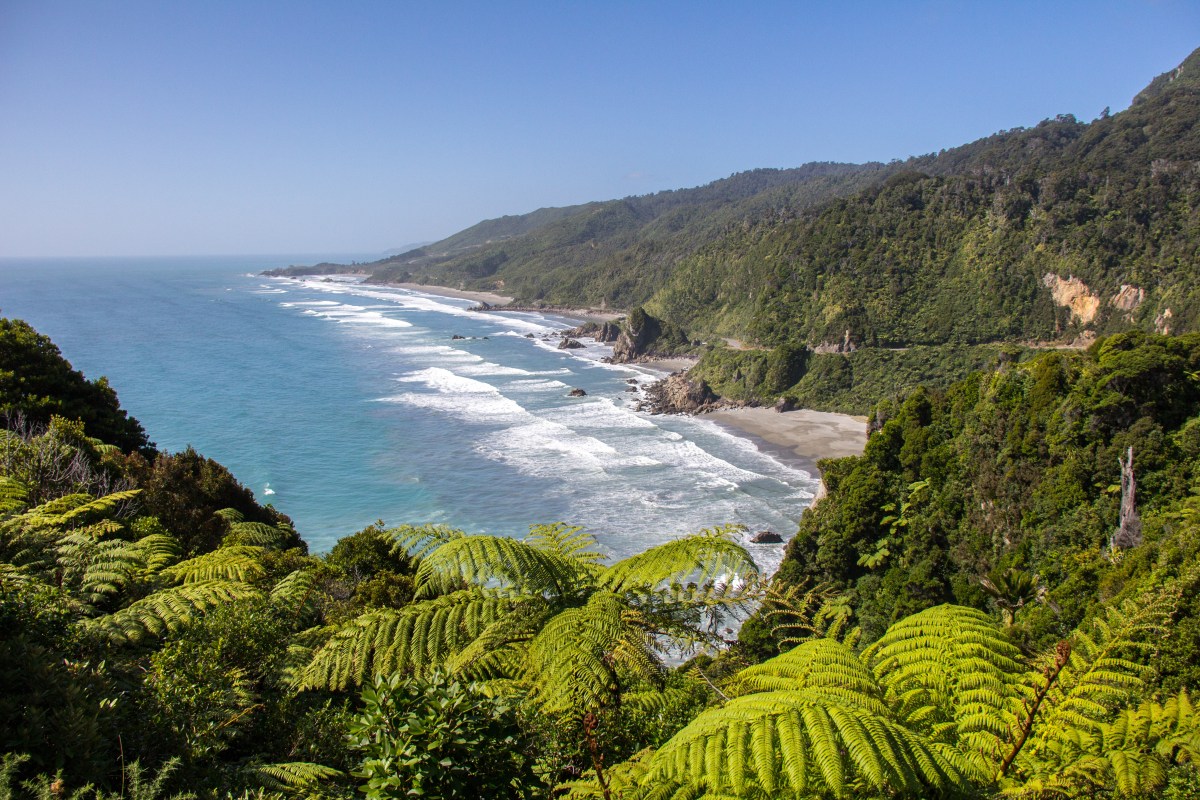 West Coast Look North hill top