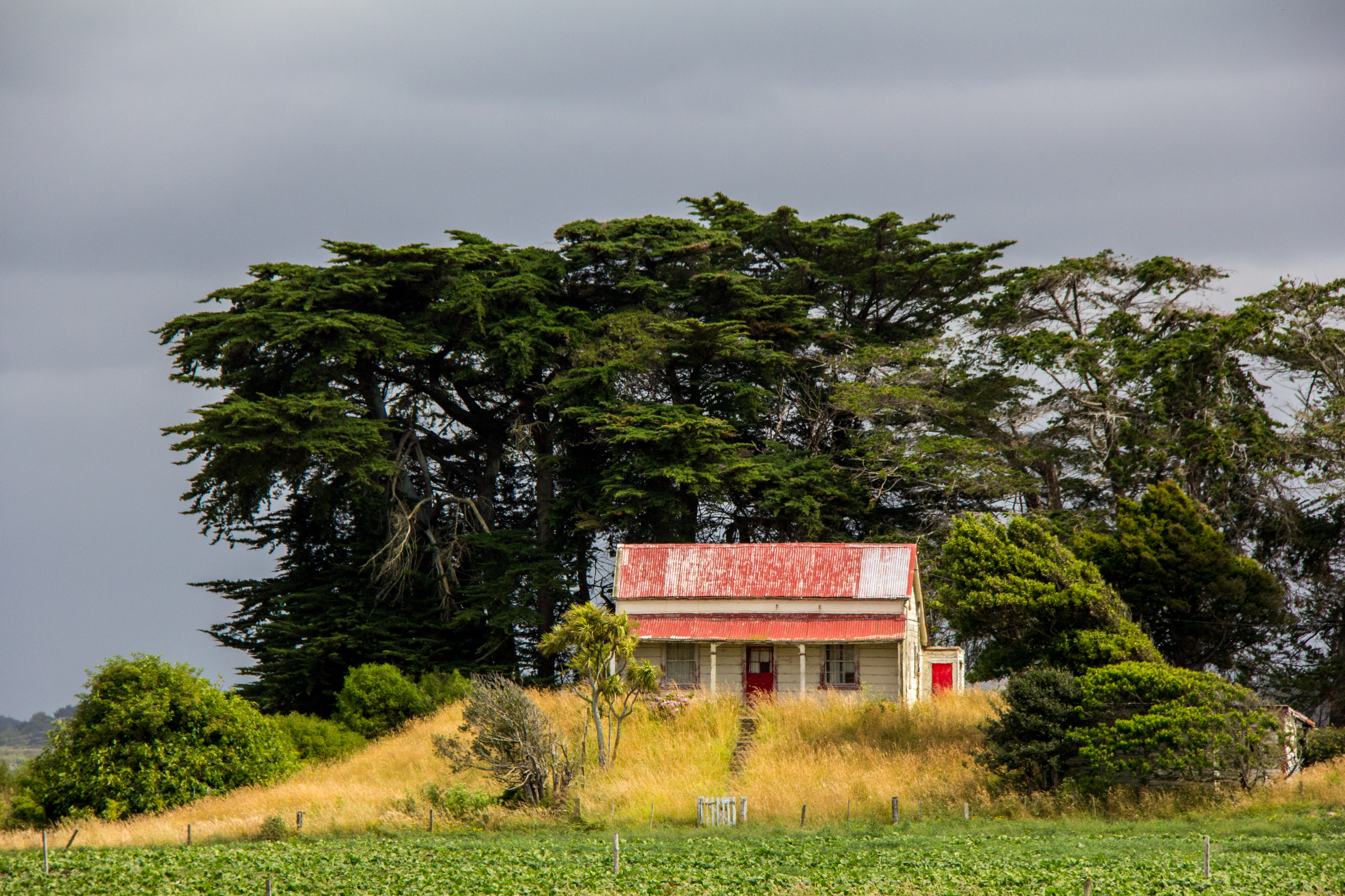 Cottage on a hill