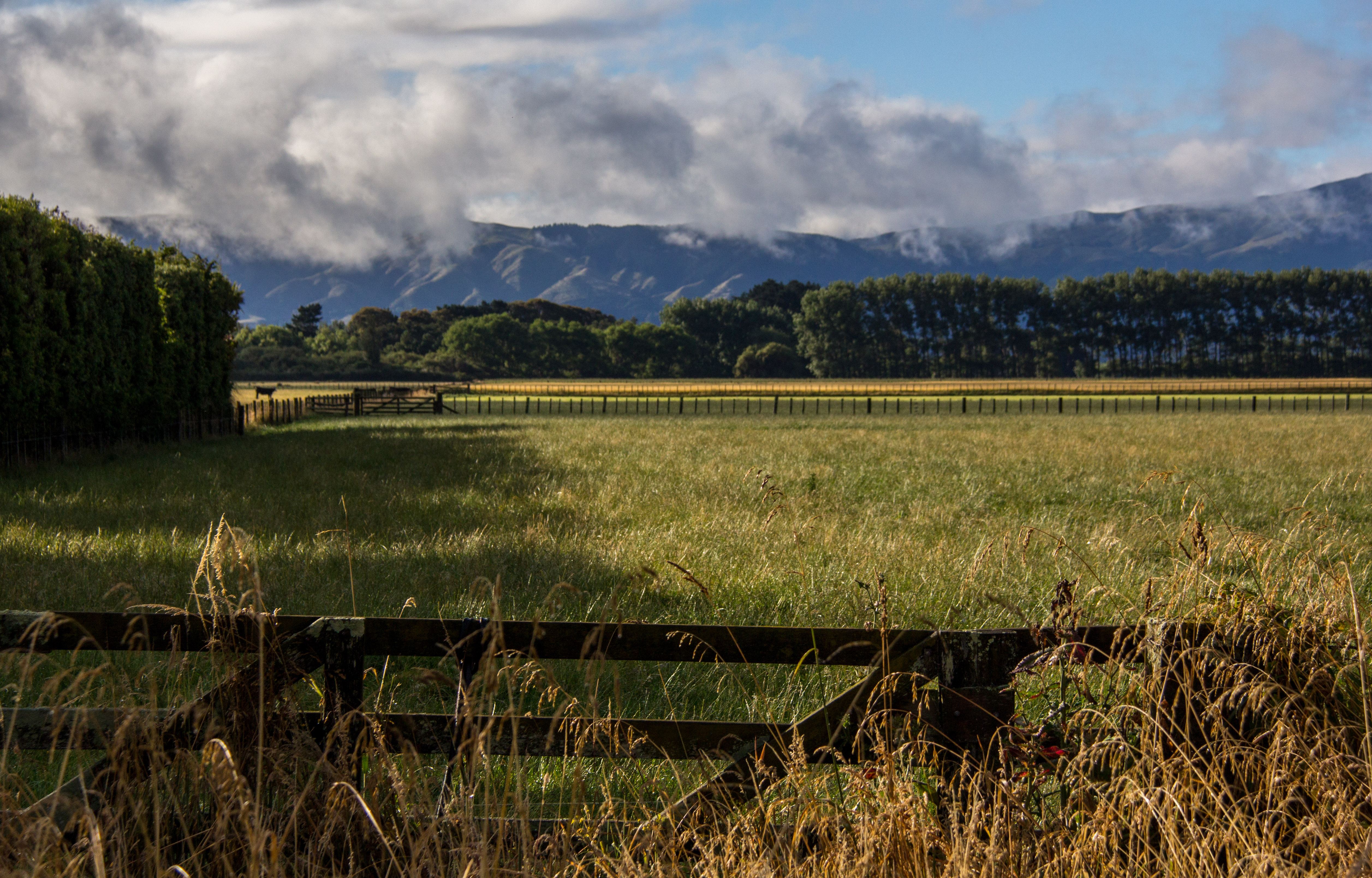 Tararua manawatu morning