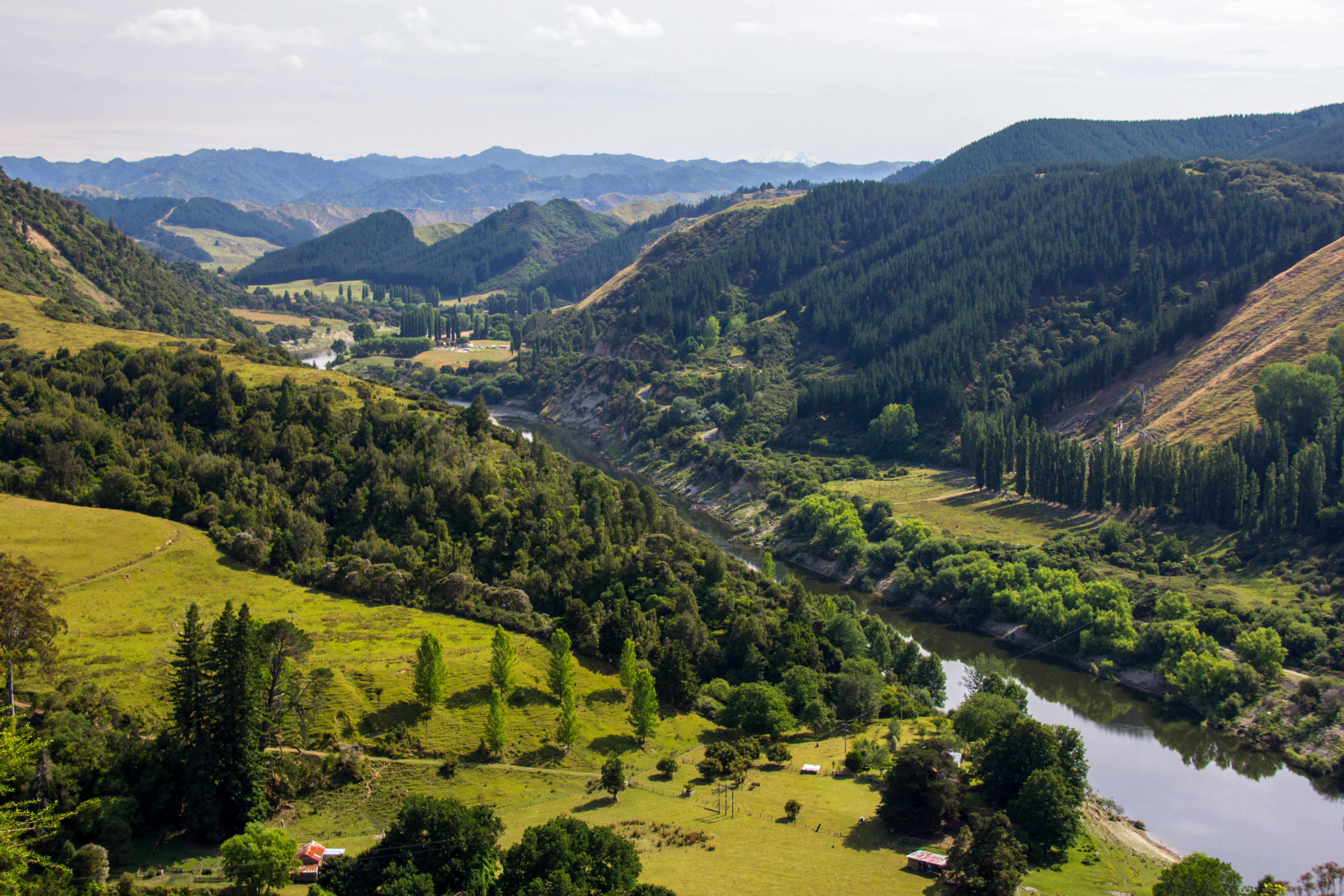 Whanganui River Valley