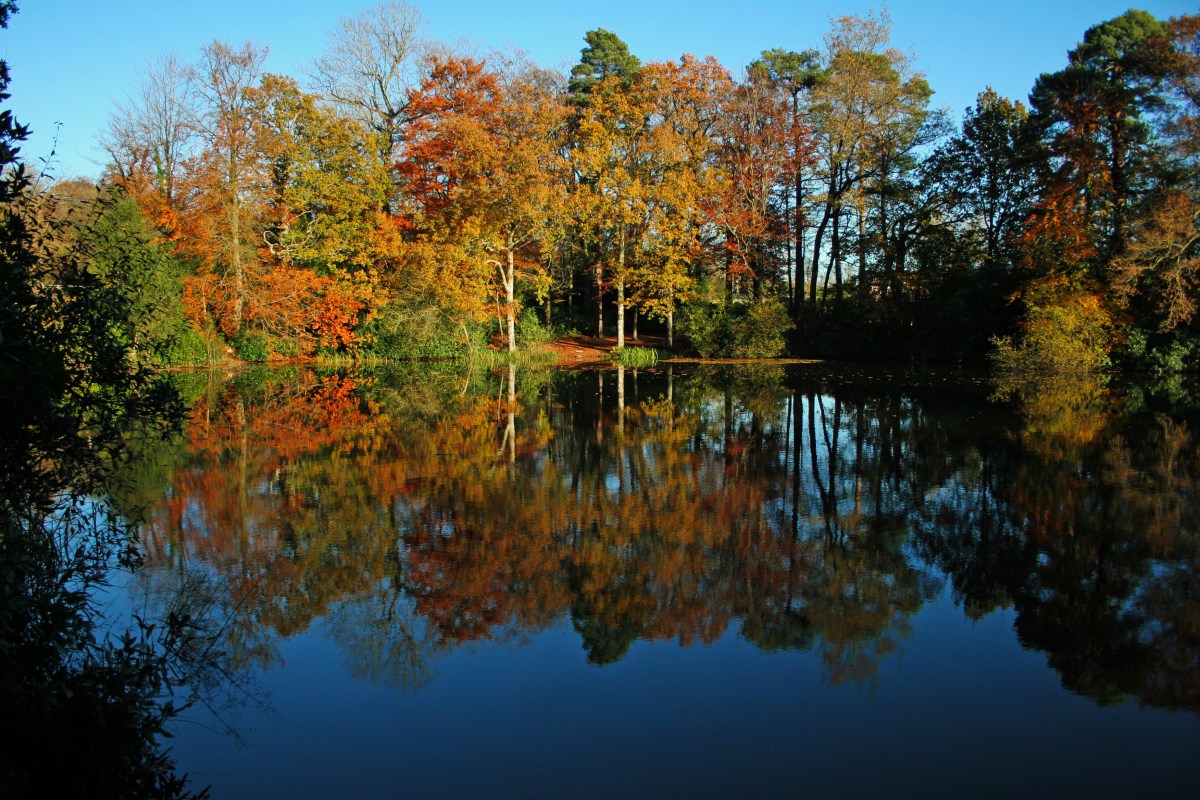 Autumn pond 3