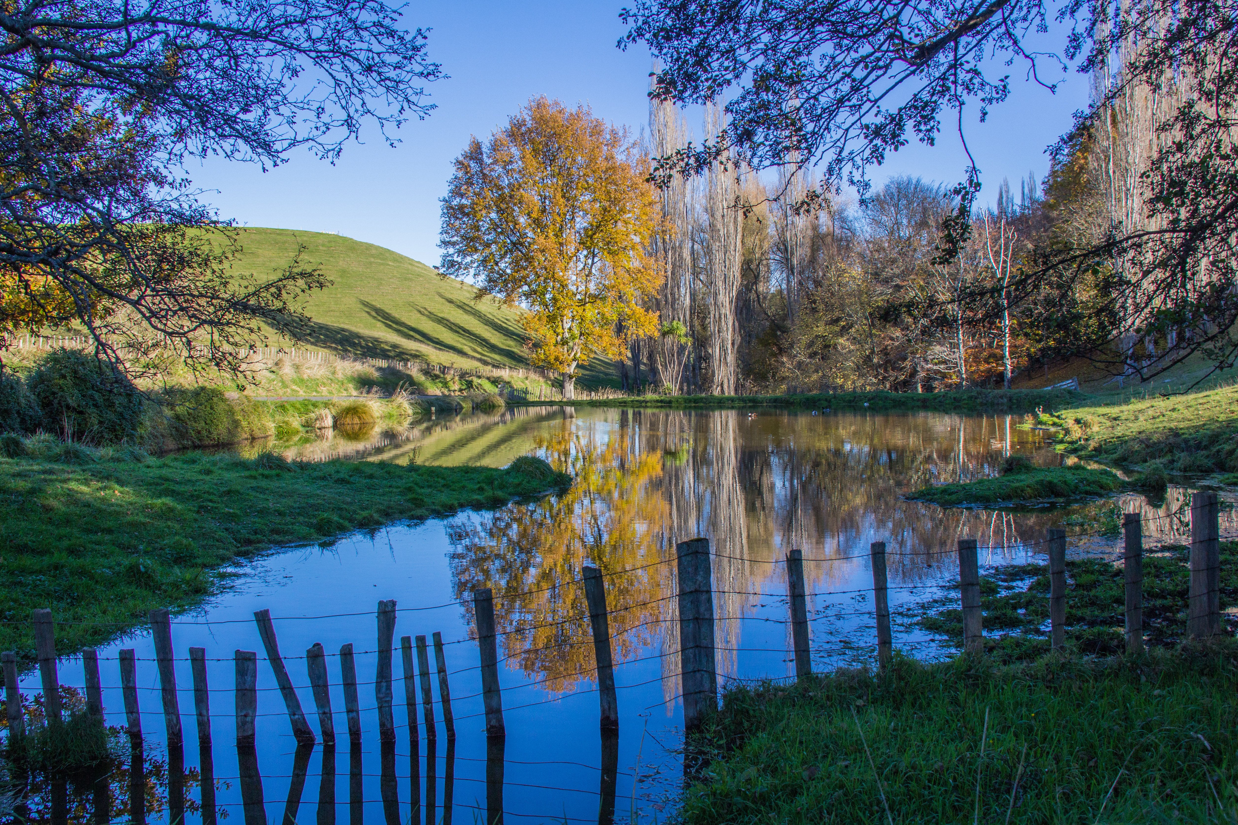 Autumn reflective pond