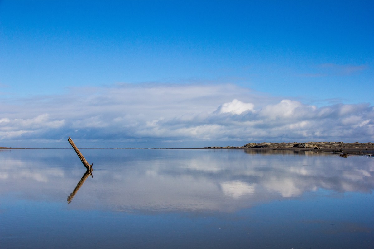 Manawatu River reflection