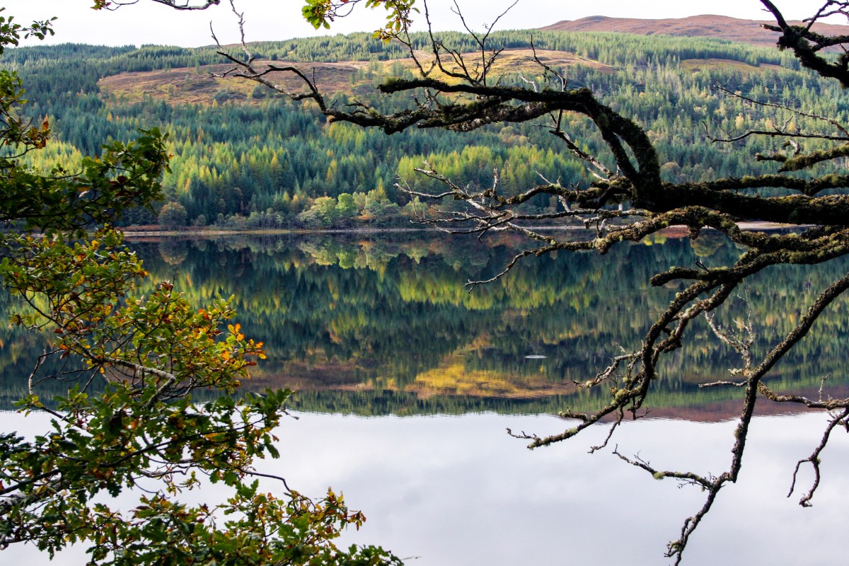 Scottish Loch