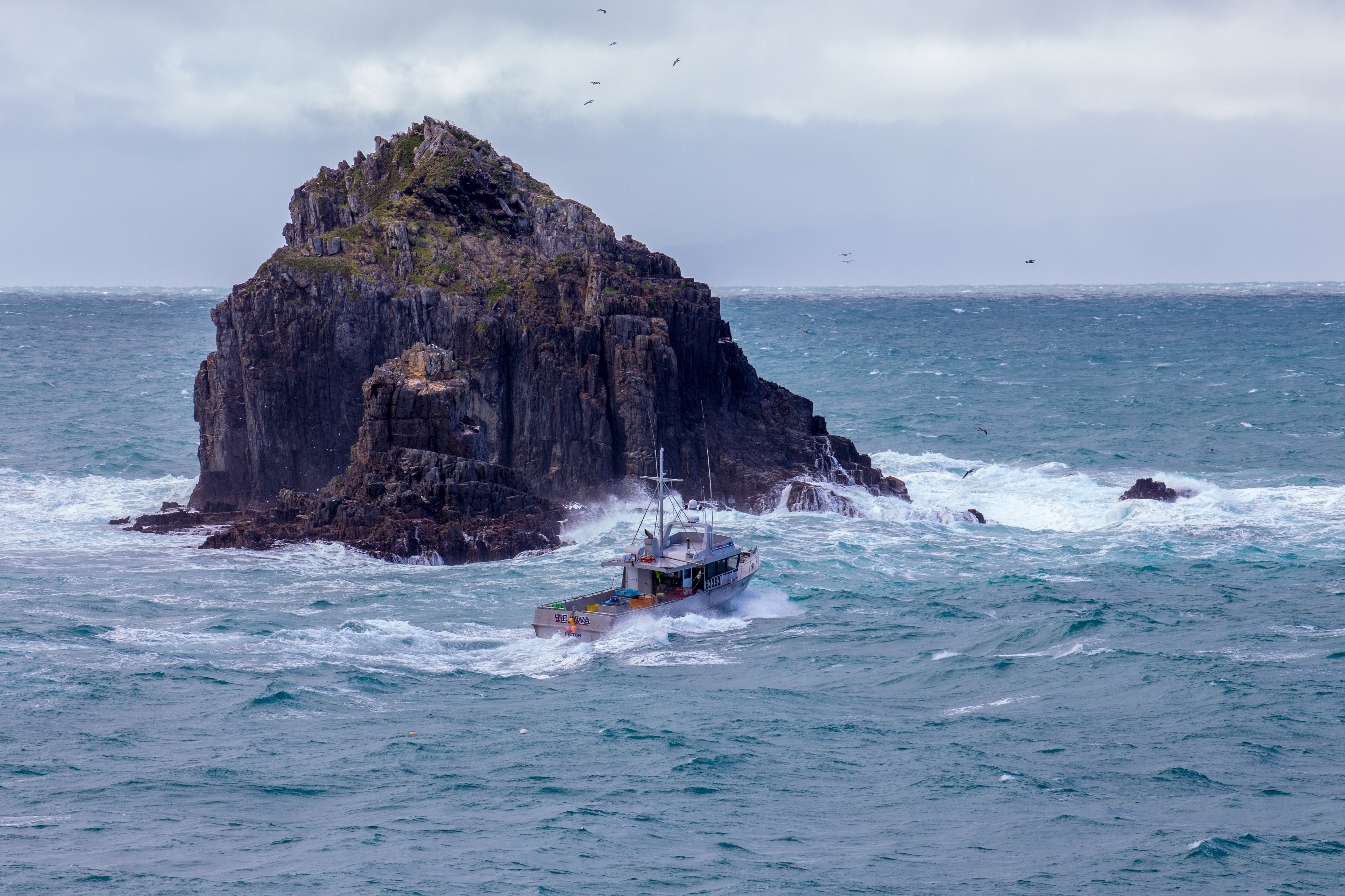 Tory Channel fishing