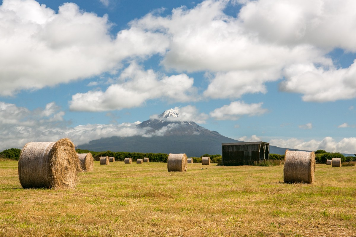 mt-naki-hay