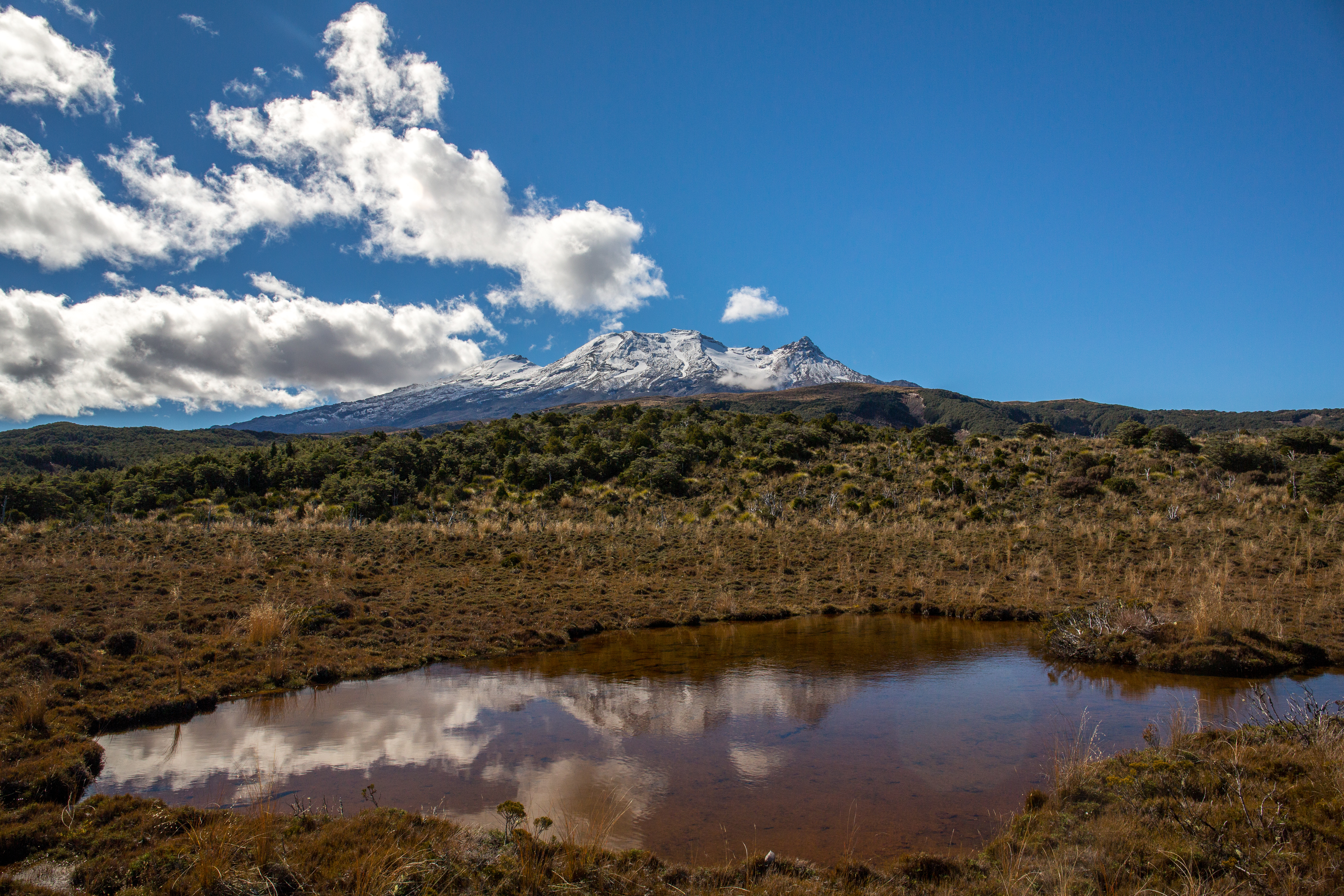 Ruapehu Reflection