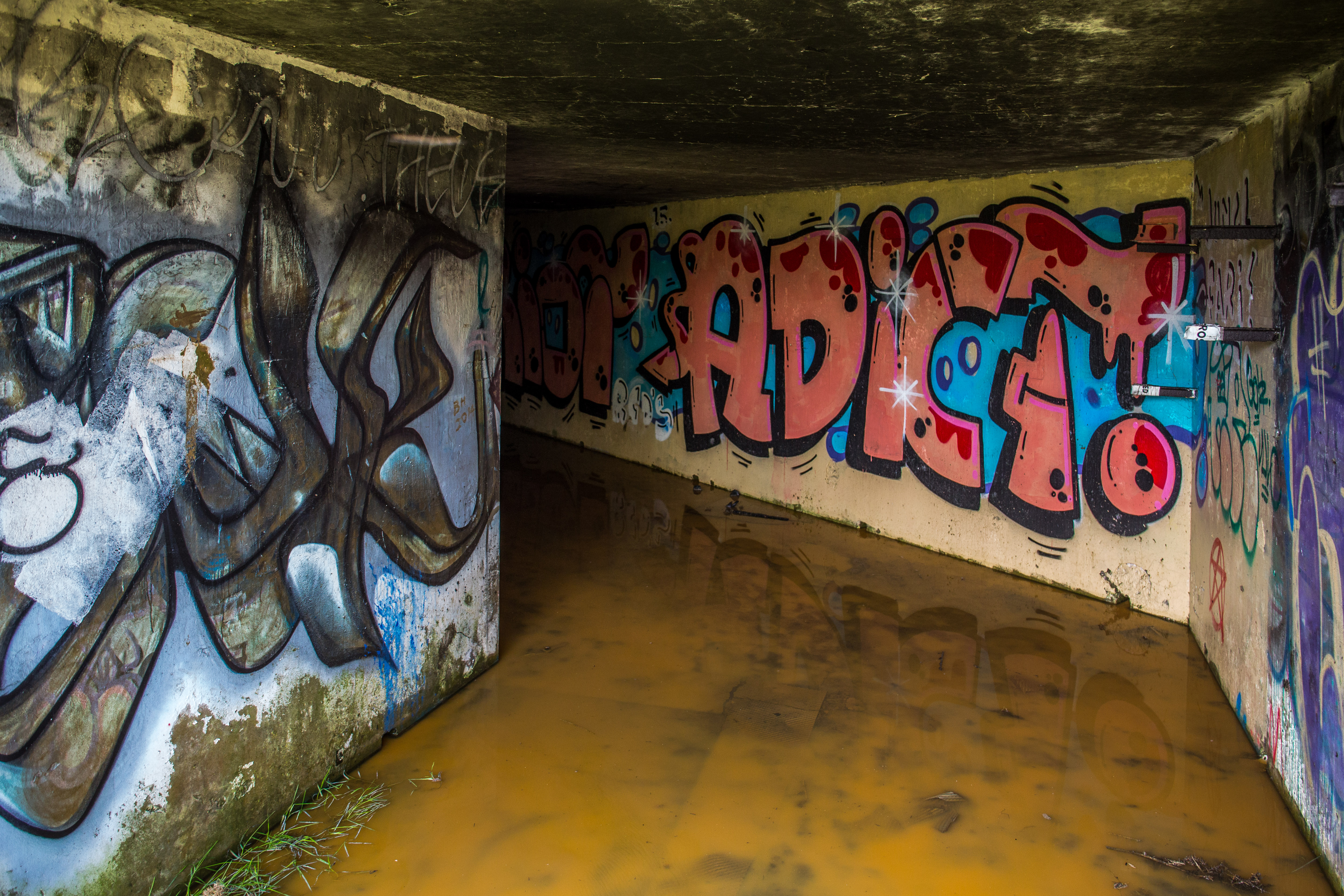 Gun Tunnel Grafitti_