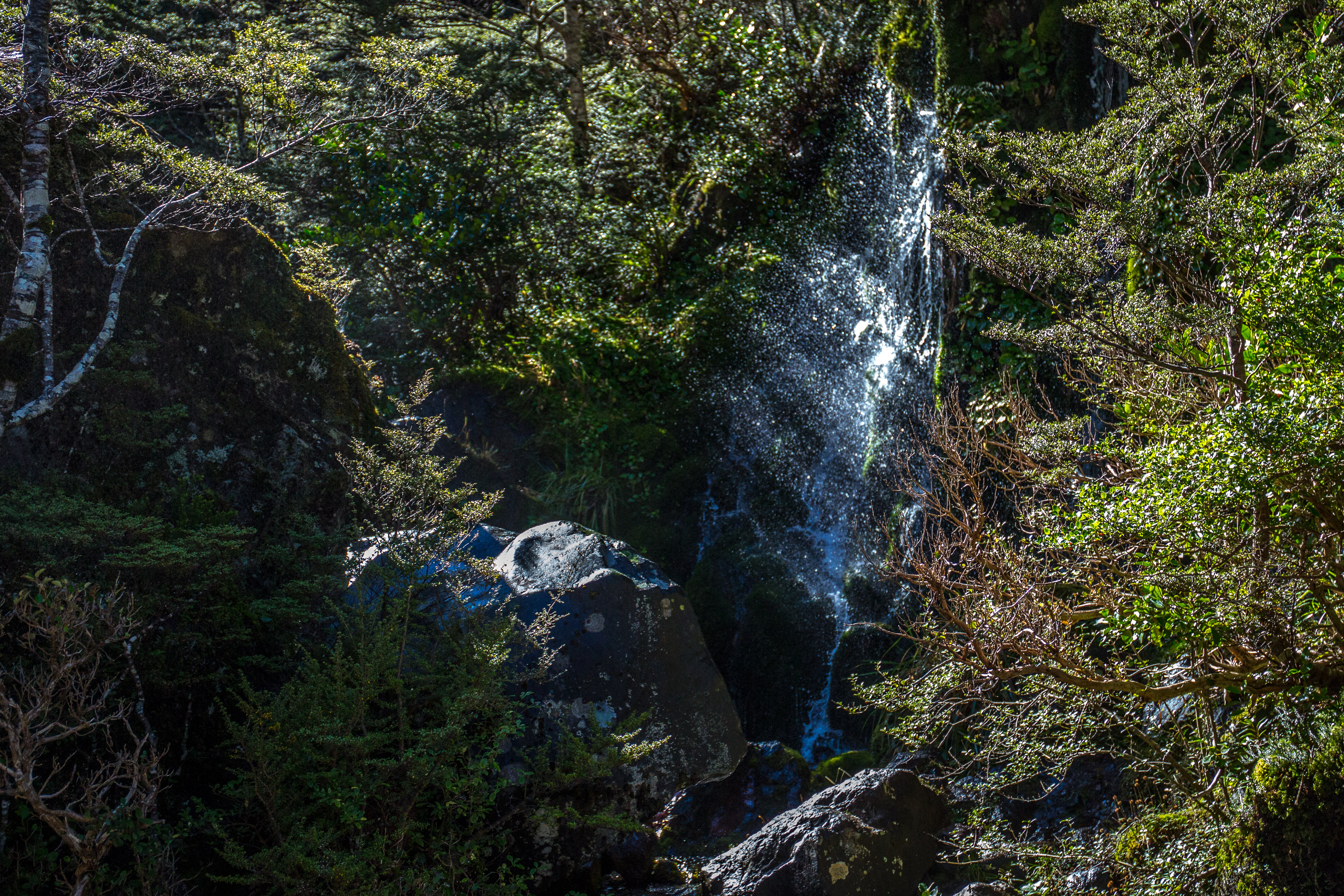 Bush Waterfall rays
