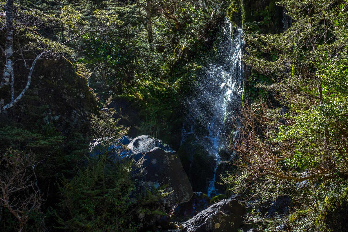 Bush Waterfall rays