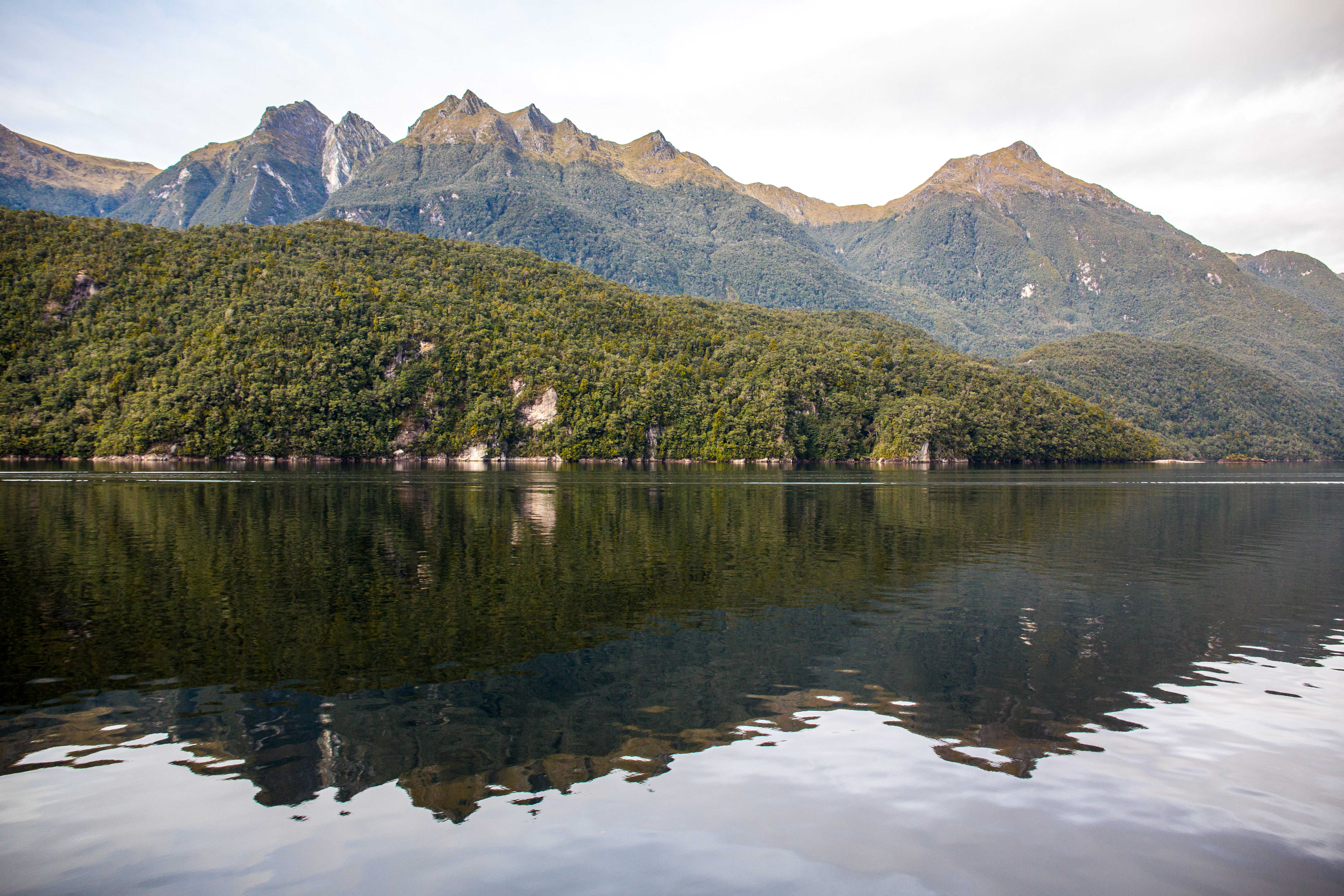 Lake Manapouri Reflections