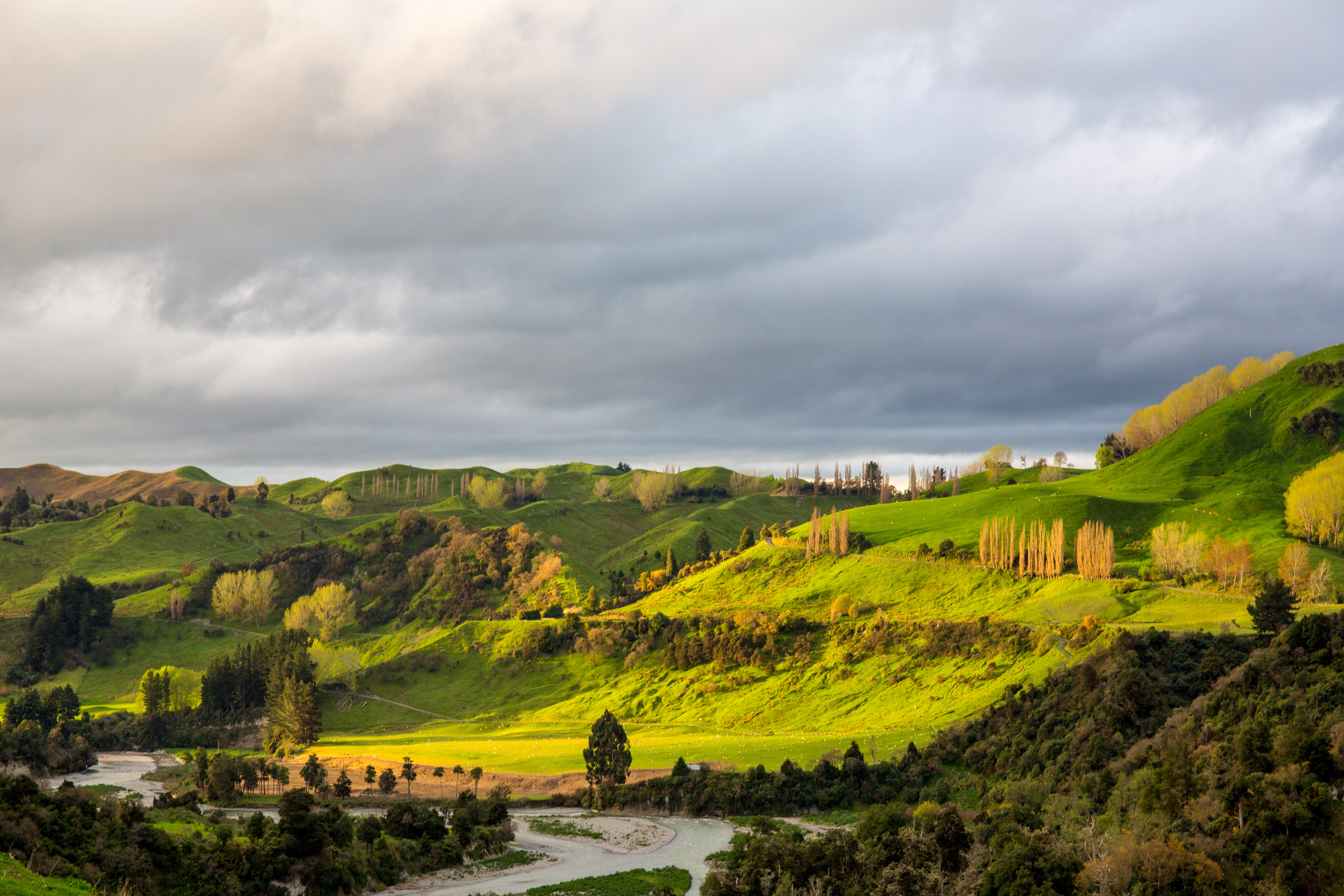Rangitikei Evening
