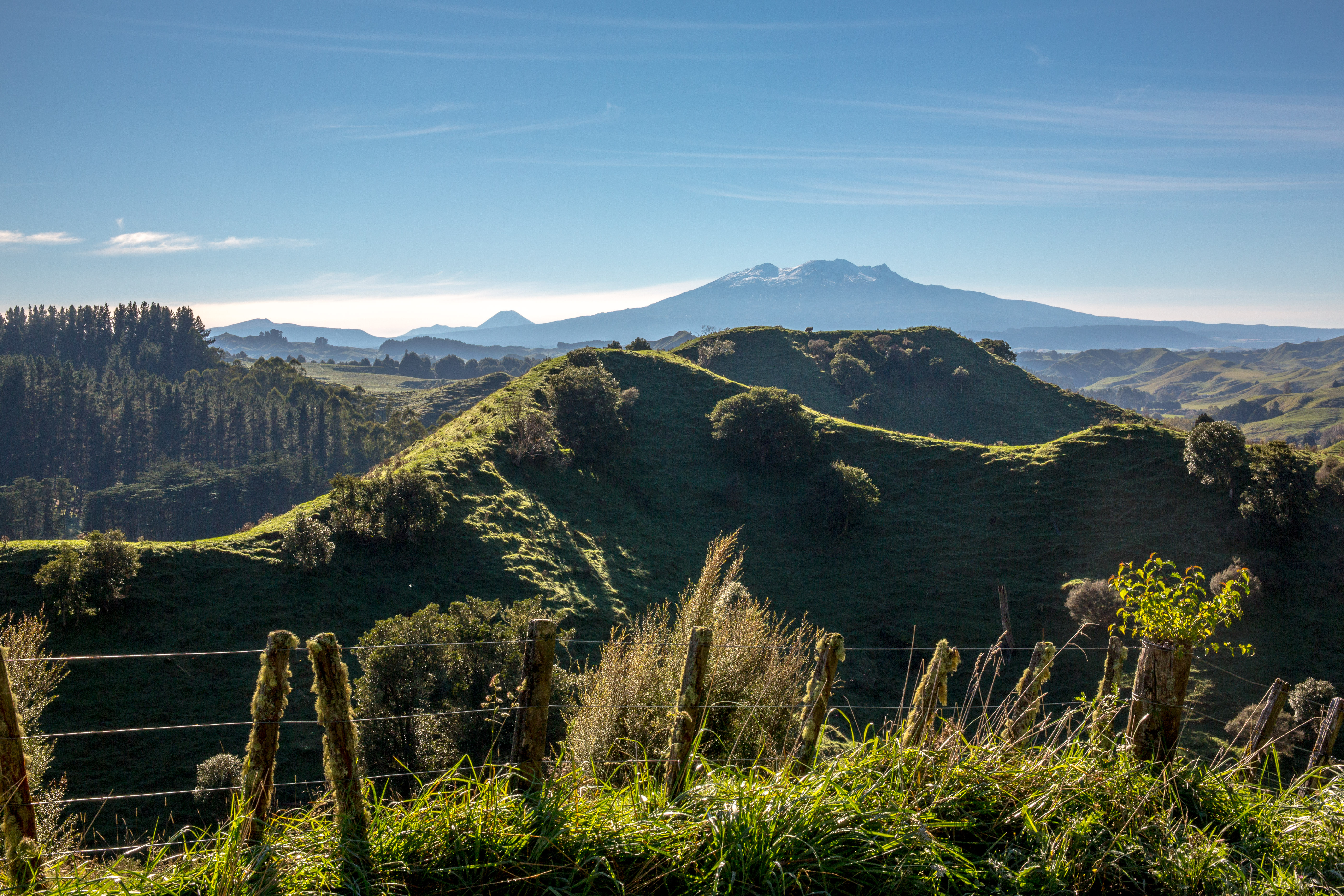Ruapehu Fence