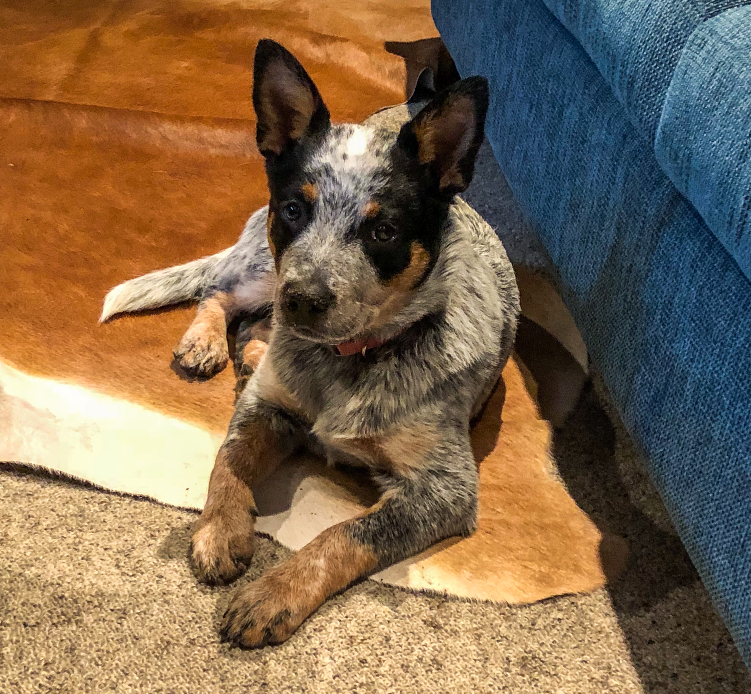 5E30B1D6-3087-4722-8FDC-C30405F0A490