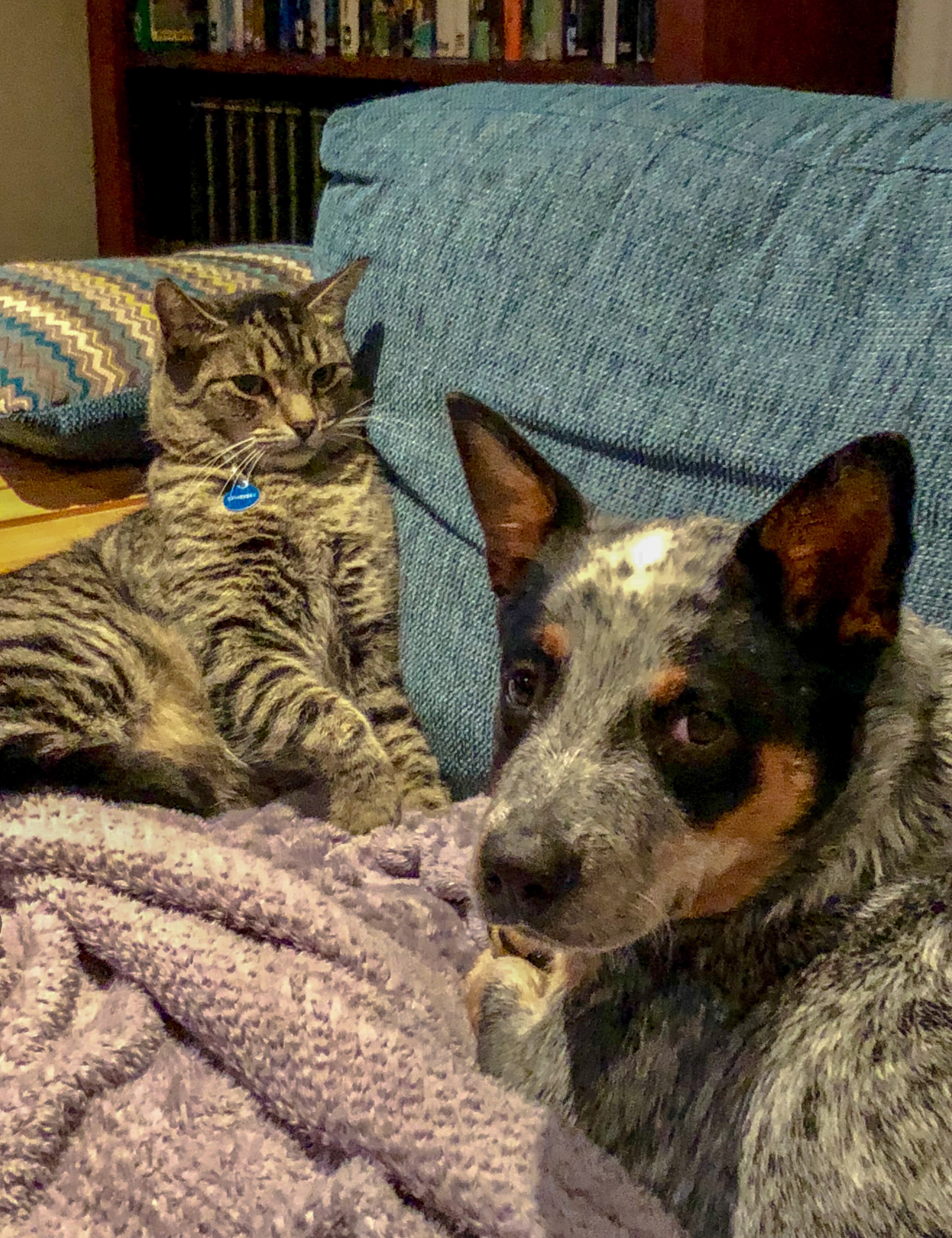 F2259BD7-6596-45C5-96A0-93AA00CE2D41