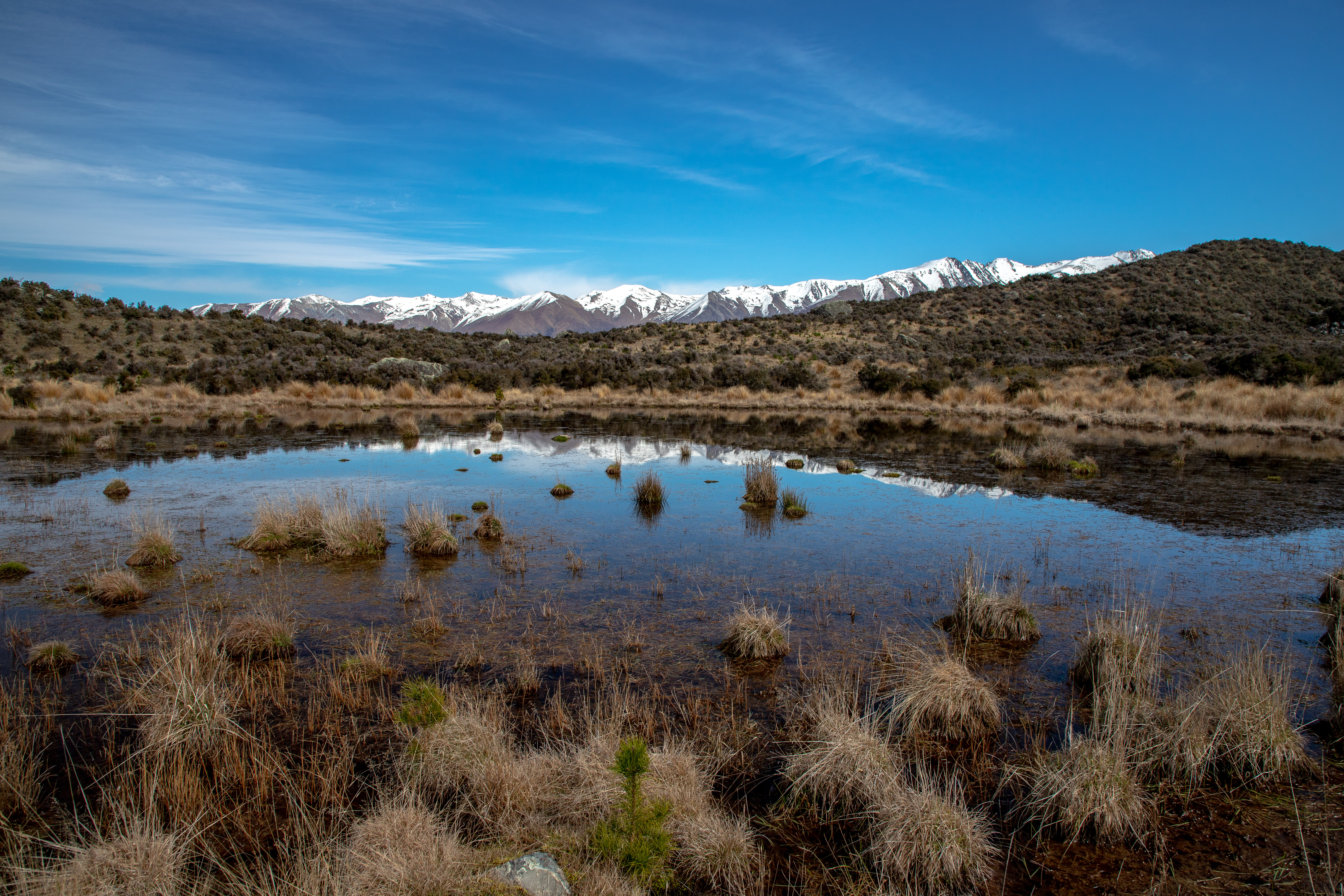 Pukaki Reserve